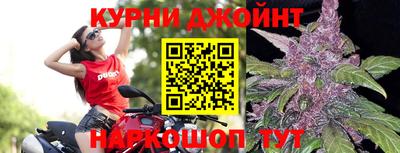 гашик Малоярославец